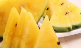 吃瓜网 吃瓜网官网,官方揭秘，带你领略吃瓜界的风云变幻